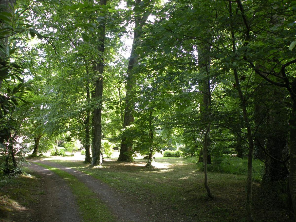 Les Talvasieres Le Mans Bagian luar foto